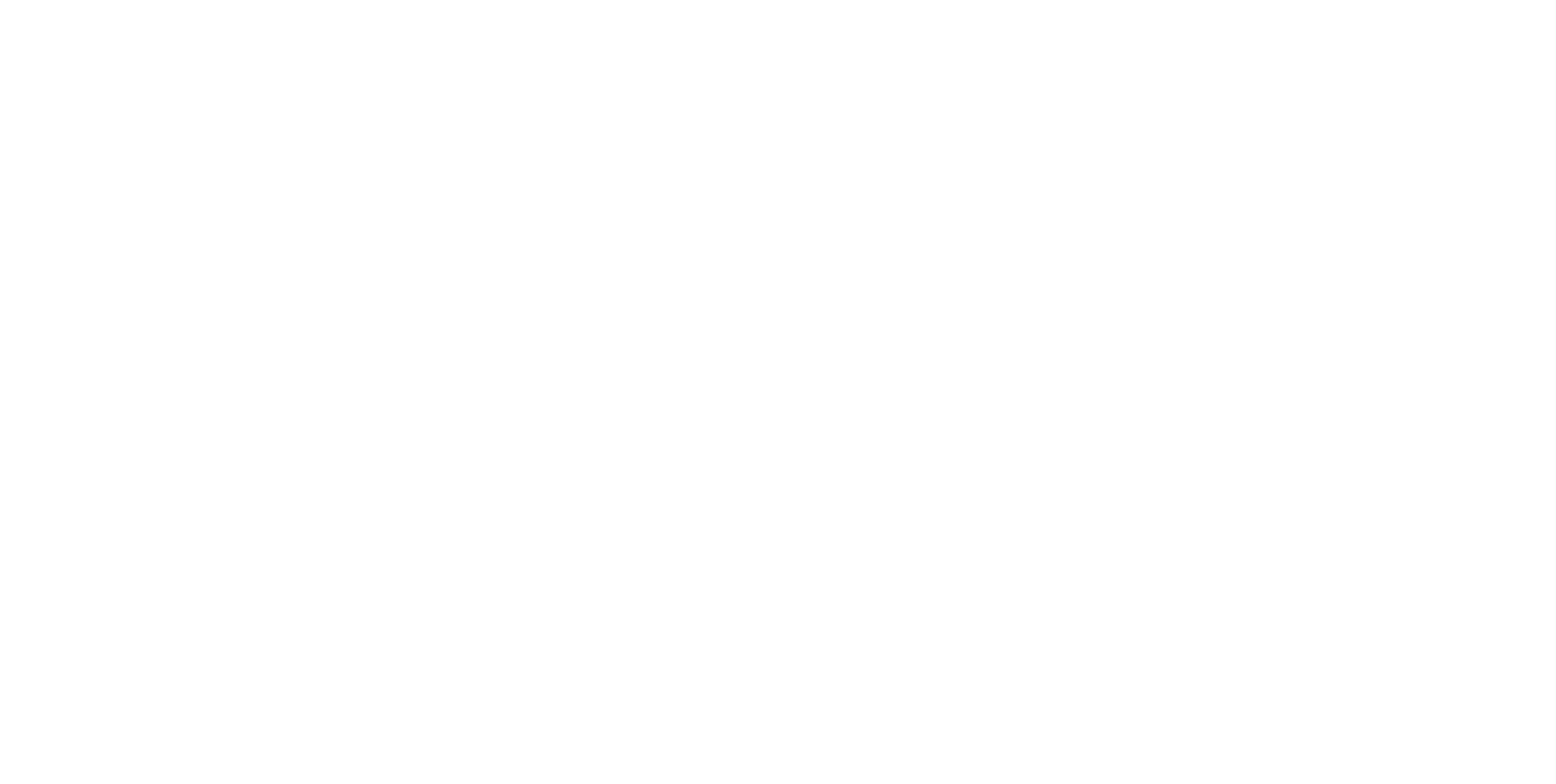 Voyacht Logo Light
